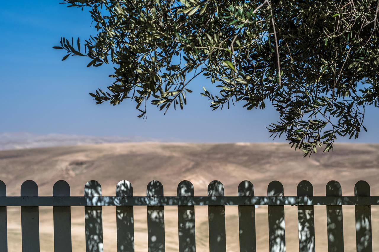ערד Adi In The Desert מראה חיצוני תמונה